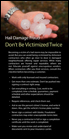 Hail Damage Fraud - Don't Be Victimized Twice